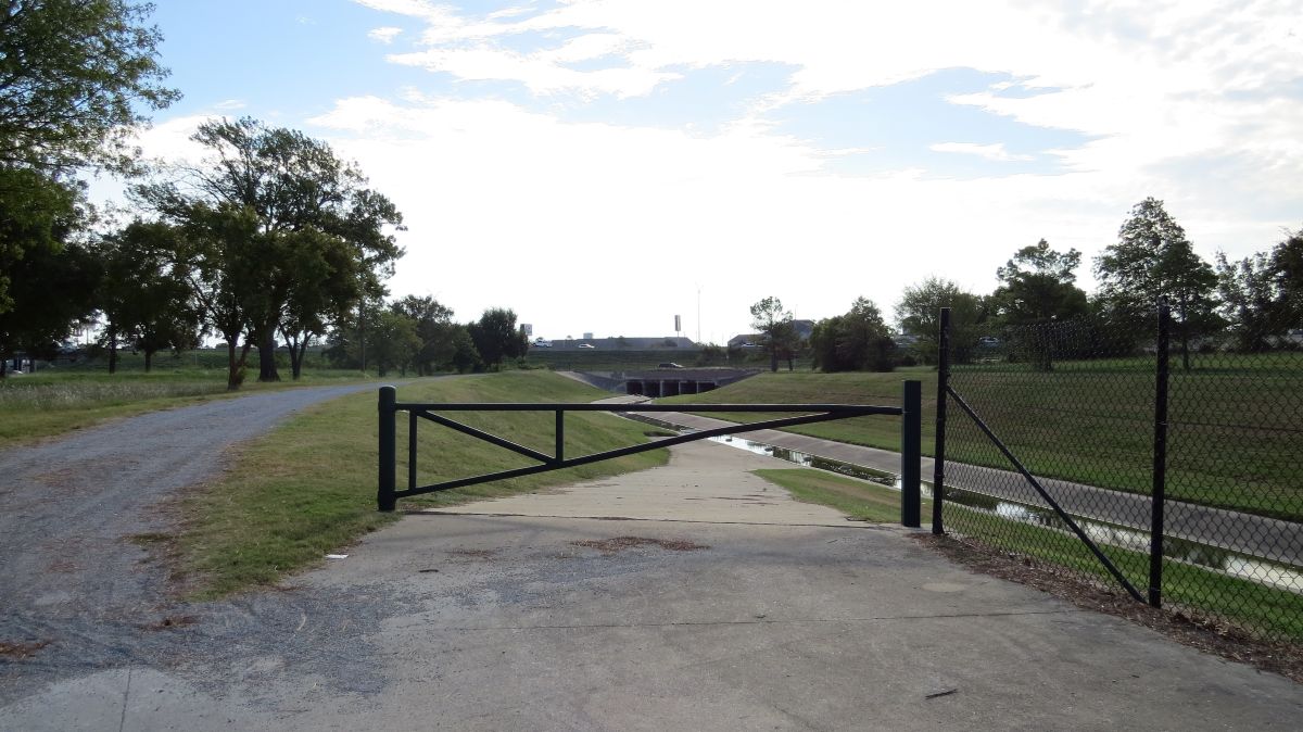 Image from Williams Park taken on Thursday 16th of October 2025